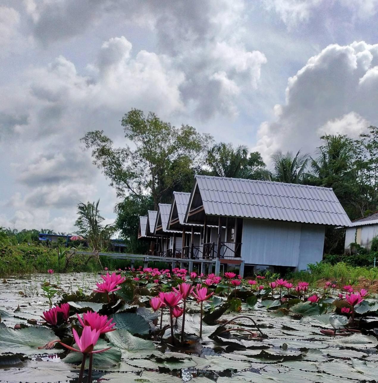ปารมีฟาร์มสเตย์ Takuapa Ngoại thất bức ảnh