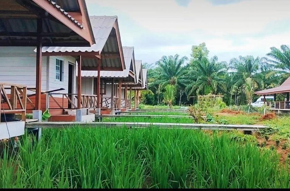 ปารมีฟาร์มสเตย์ Takuapa Ngoại thất bức ảnh